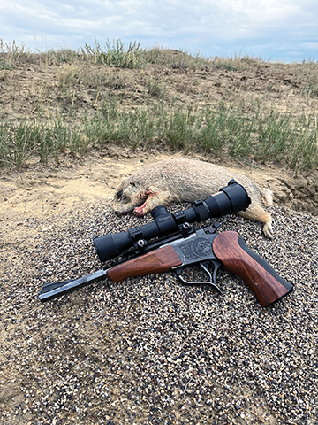 The 221 Remington Fireball makes a near-ideal T/C Contender chambering, especially in common 10-inch barrels. This is unsurprising, as the cartridge was developed especially for the Remington XP-100 pistol with a 10-inch barrel.